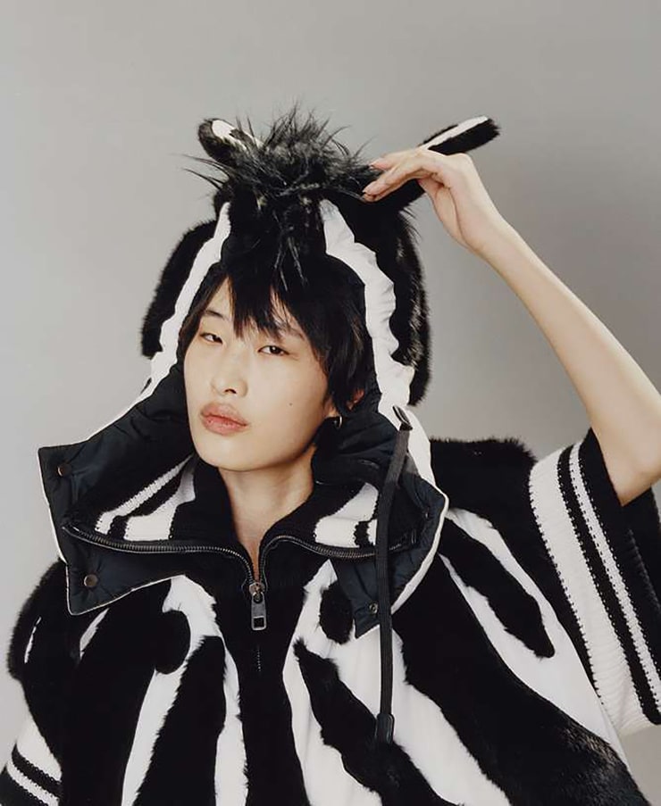 He Jing model