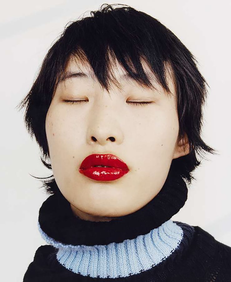He Jing model