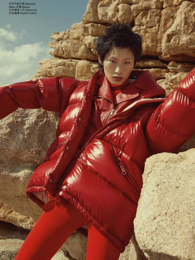 He Jing model