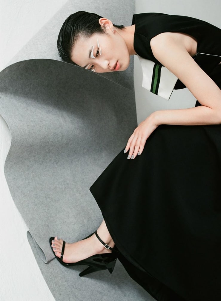 He Jing model