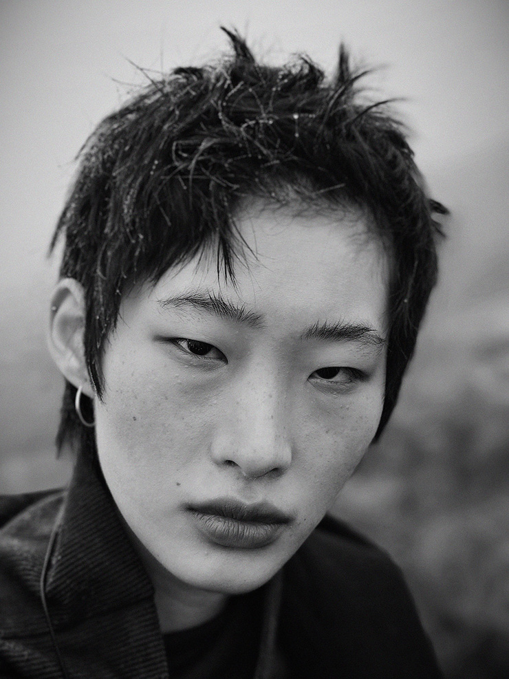 He Jing model