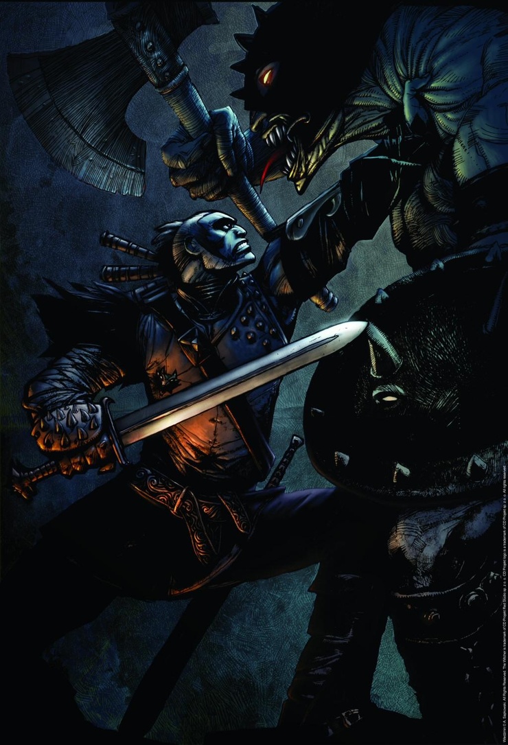 The Witcher
