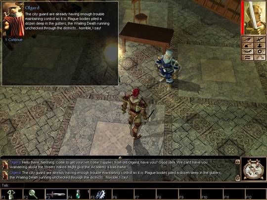 Neverwinter Nights