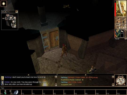 Neverwinter Nights