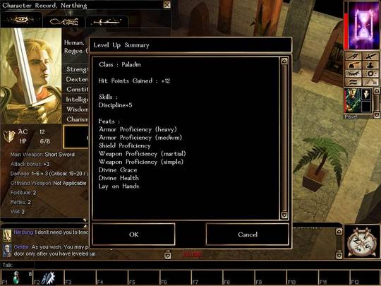 Neverwinter Nights