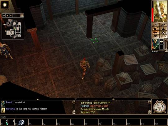 Neverwinter Nights