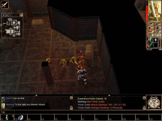 Neverwinter Nights