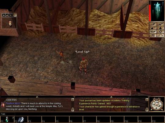Neverwinter Nights