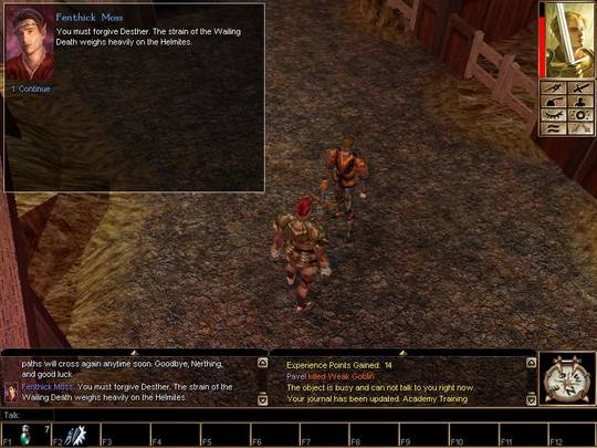 Neverwinter Nights