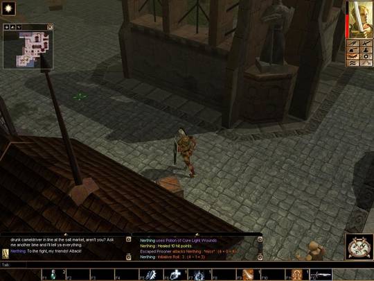 Neverwinter Nights