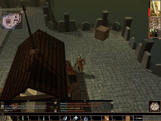 Neverwinter Nights