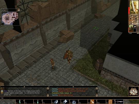 Neverwinter Nights