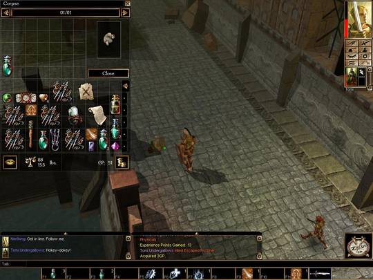 Neverwinter Nights
