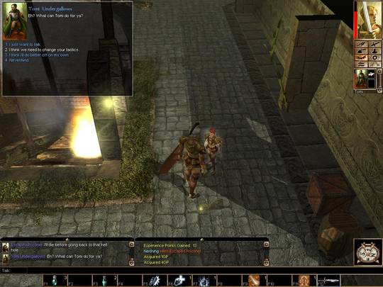 Neverwinter Nights