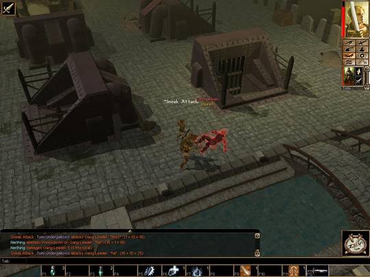 Neverwinter Nights