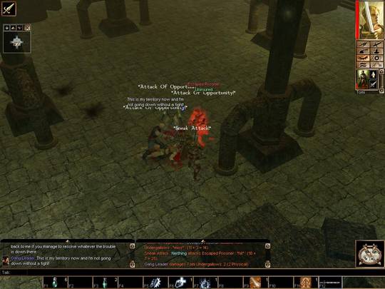 Neverwinter Nights