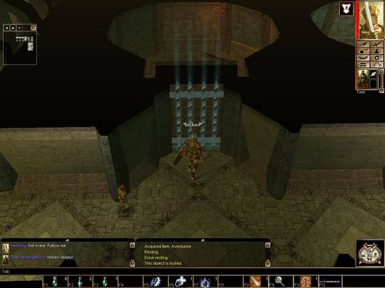 Neverwinter Nights