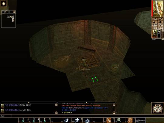 Neverwinter Nights