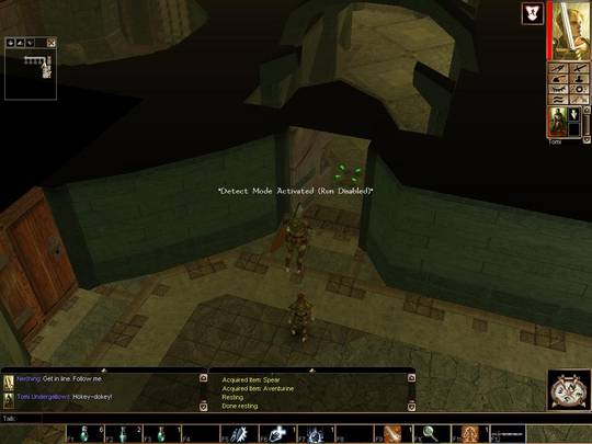 Neverwinter Nights