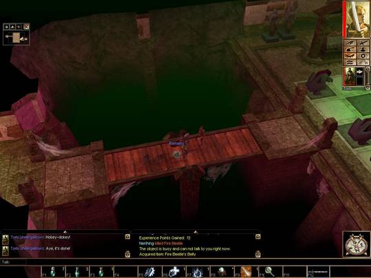 Neverwinter Nights