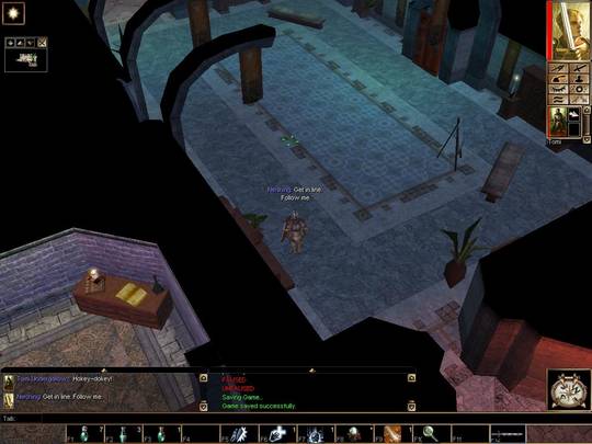 Neverwinter Nights