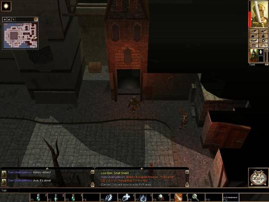 Neverwinter Nights
