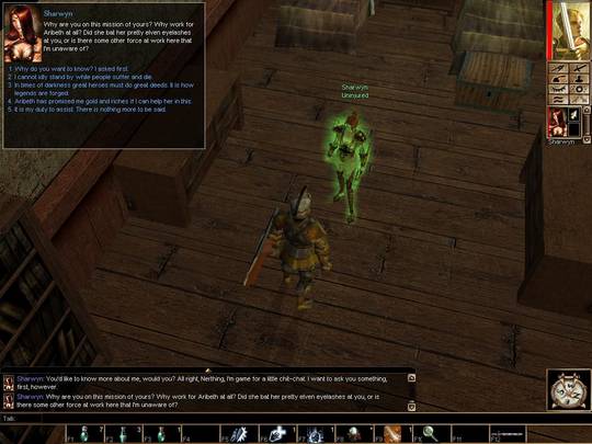Neverwinter Nights