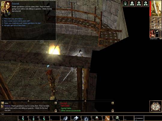 Neverwinter Nights