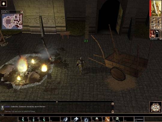 Neverwinter Nights