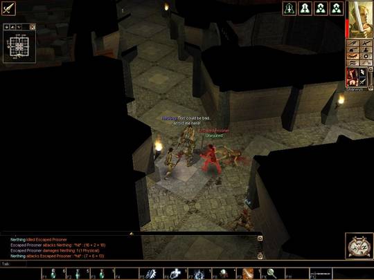 Neverwinter Nights