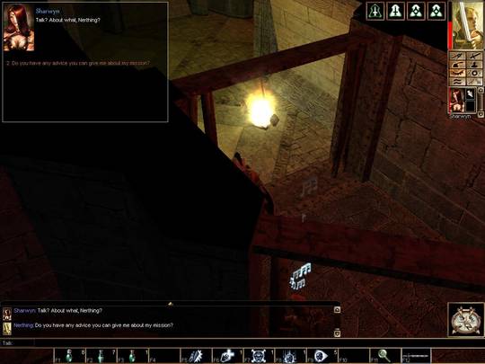 Neverwinter Nights