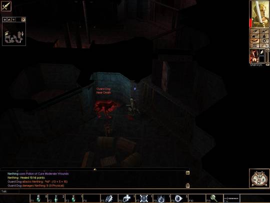 Neverwinter Nights