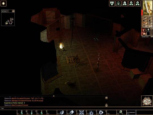 Neverwinter Nights