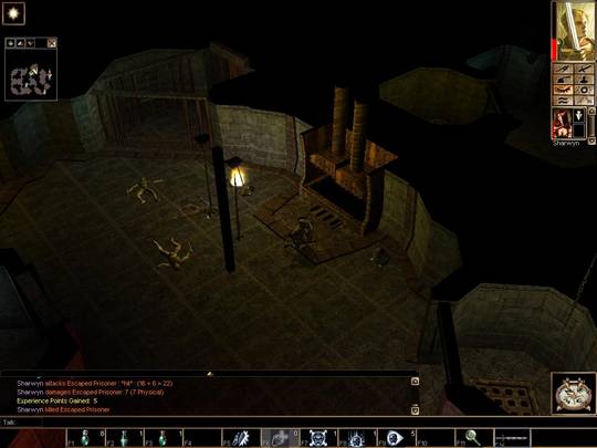 Neverwinter Nights