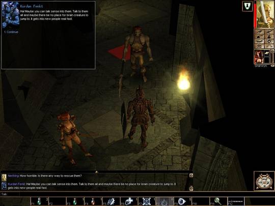 Neverwinter Nights
