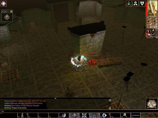 Neverwinter Nights