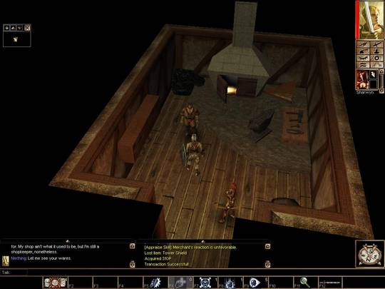 Neverwinter Nights