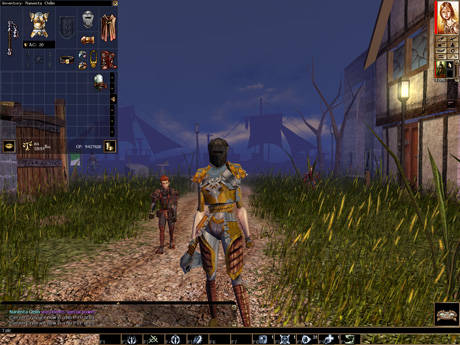 Neverwinter Nights