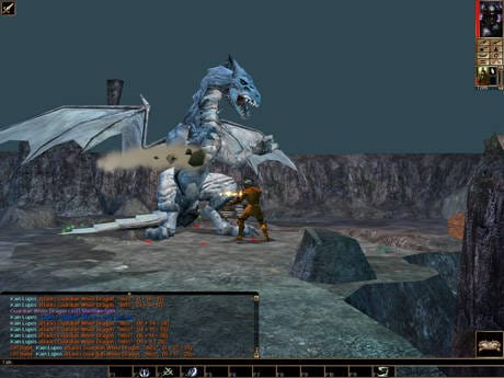 Neverwinter Nights
