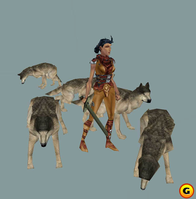 Neverwinter Nights