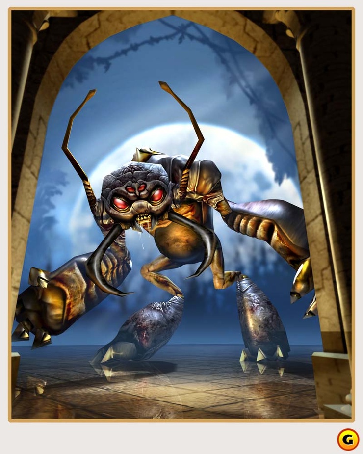 Neverwinter Nights