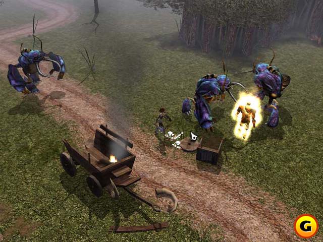 Neverwinter Nights