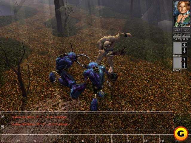 Neverwinter Nights