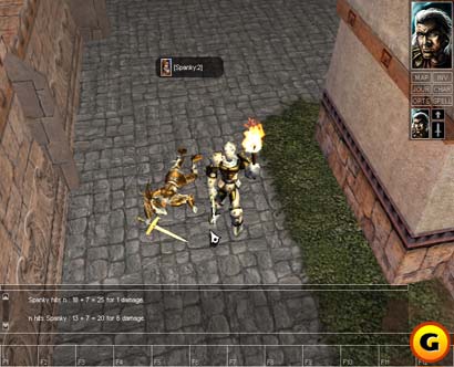 Neverwinter Nights