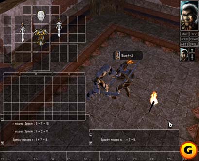 Neverwinter Nights
