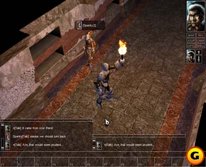 Neverwinter Nights