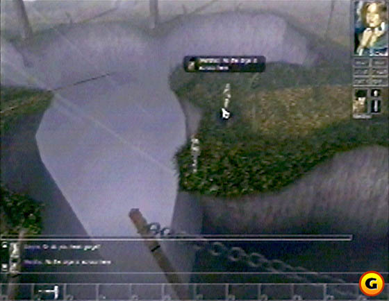 Neverwinter Nights
