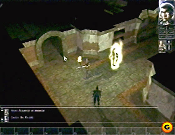 Neverwinter Nights