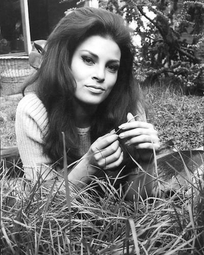 Raquel Welch