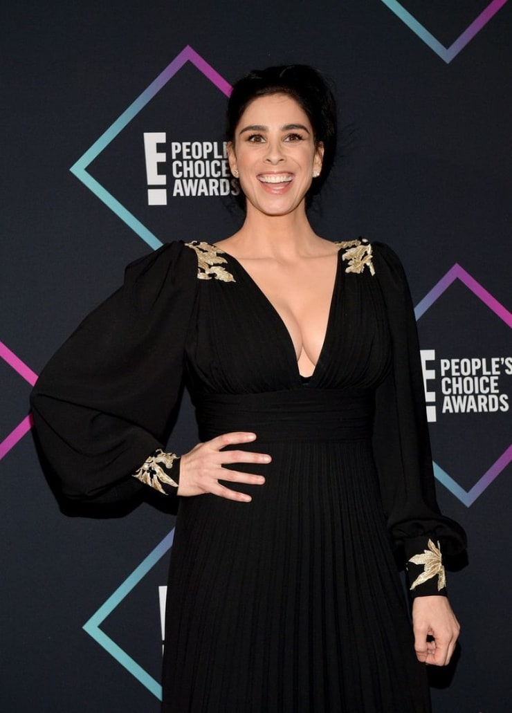 Picture of Sarah Silverman